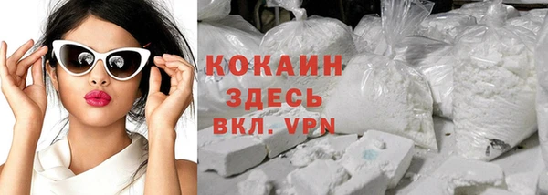 хмурый Сосновый Бор