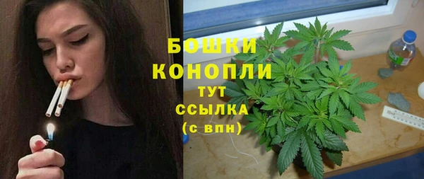 ешки Белокуриха