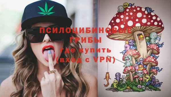 ГАЛЛЮЦИНОГЕННЫЕ ГРИБЫ Баксан