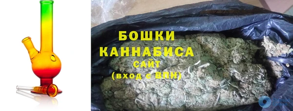 ГАЛЛЮЦИНОГЕННЫЕ ГРИБЫ Баксан