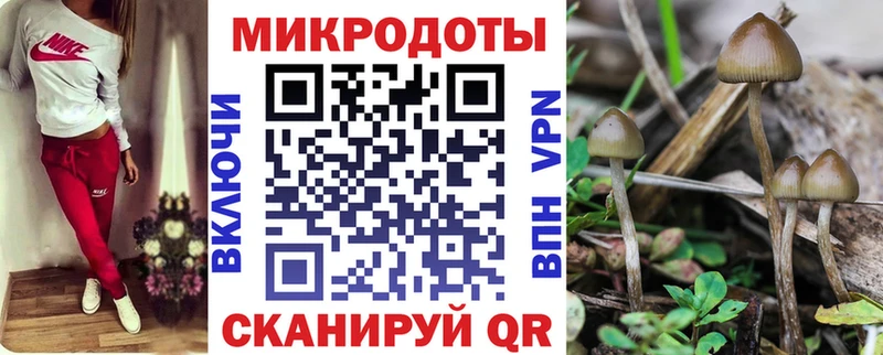 Галлюциногенные грибы Psilocybe  закладка  Жуков 